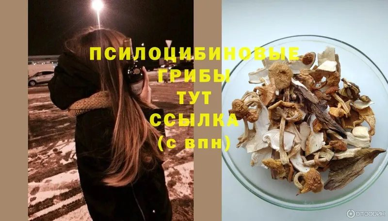 мега ссылка  Новокузнецк  Псилоцибиновые грибы Magic Shrooms 