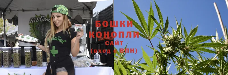 Бошки марихуана OG Kush  Новокузнецк 